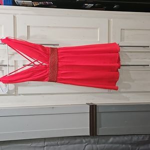 Little Red dress